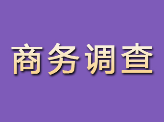 峨边商务调查